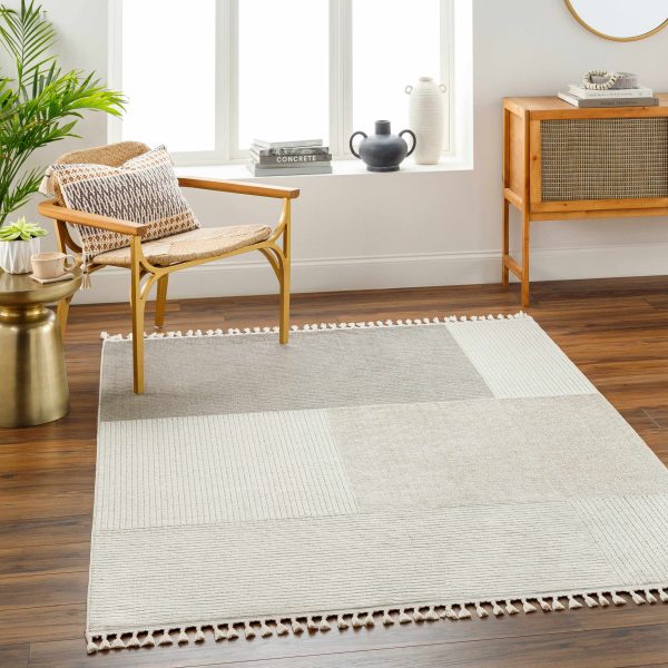 Abia Gray Area Rug For Sale - Image 2