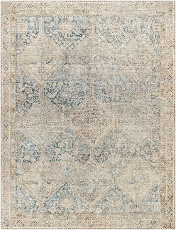 Marlene Medallion Beige & Blue Area Rug - Becki Owens x Livabliss Discount - Image 2