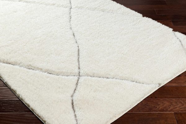 Aizza Area Rug Supply - Image 3