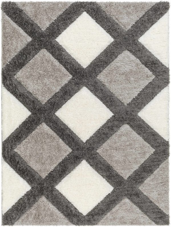 Amias Gray Area Rug Discount